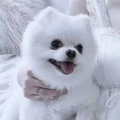 云博体育平台官网下载