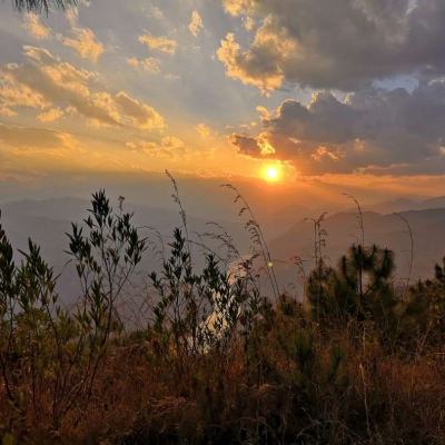 域网棋牌游戏手机app下载