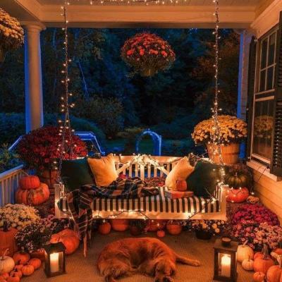 助赢软件app手机app下载