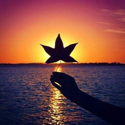 云开·(kaiyun)官方网站