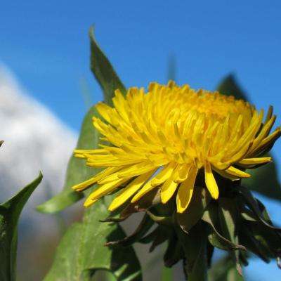 欧博手机版app下载安装