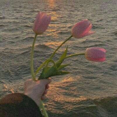 4949澳门免费资料大全下载手机版截图