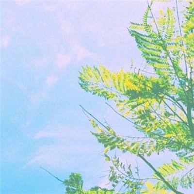 leyu·乐鱼(中国)体育app下载