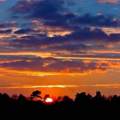 hth·华体育APP手机app下载