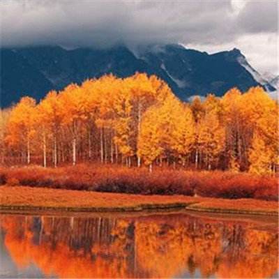 爱游戏ayx体育登录app下载