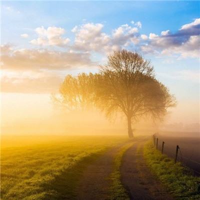 乐鱼娱乐app下载手机版